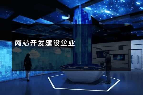 网站开发建设企业
