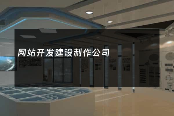 网站开发建设制作公司
