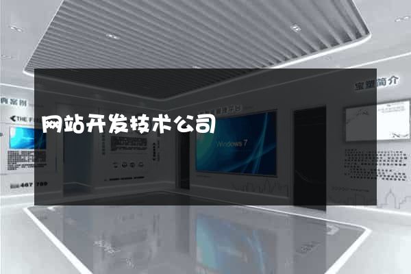 网站开发技术公司
