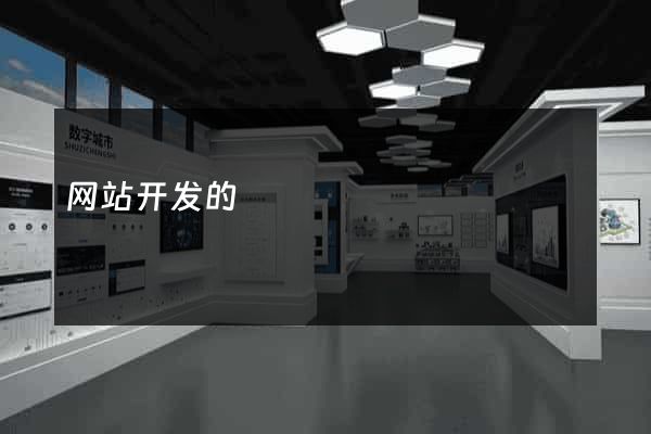 网站开发的