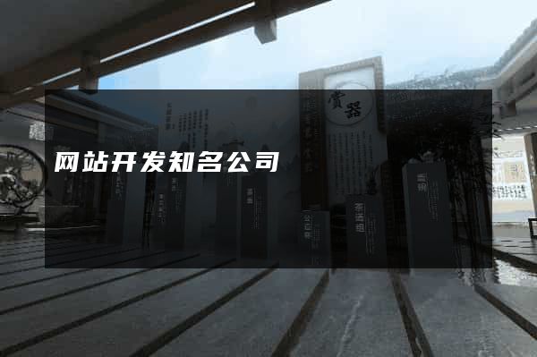 网站开发知名公司