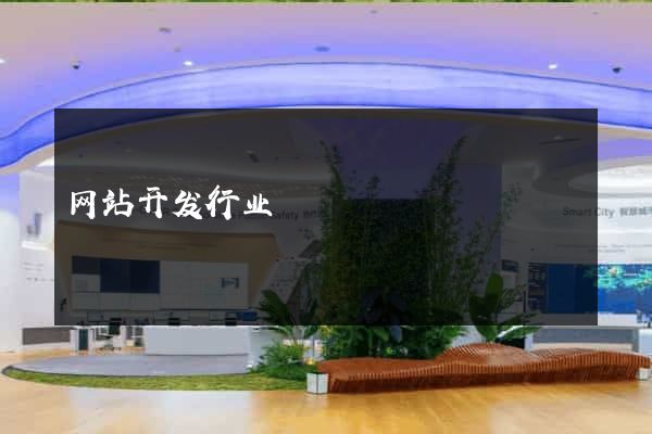 网站开发行业