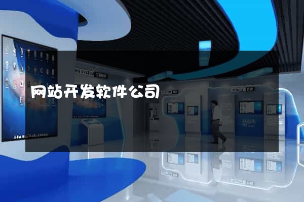 网站开发软件公司