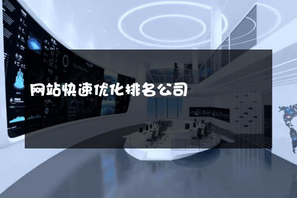 网站快速优化排名公司