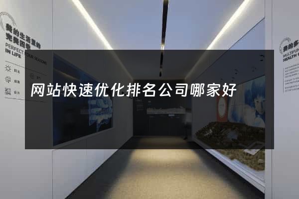 网站快速优化排名公司哪家好