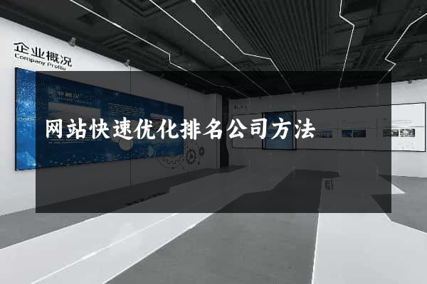 网站快速优化排名公司方法