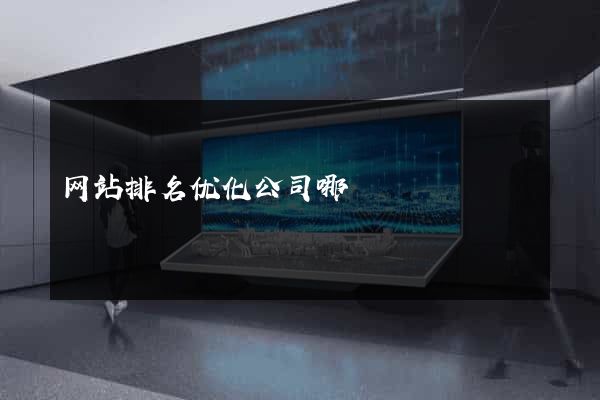 网站排名优化公司哪