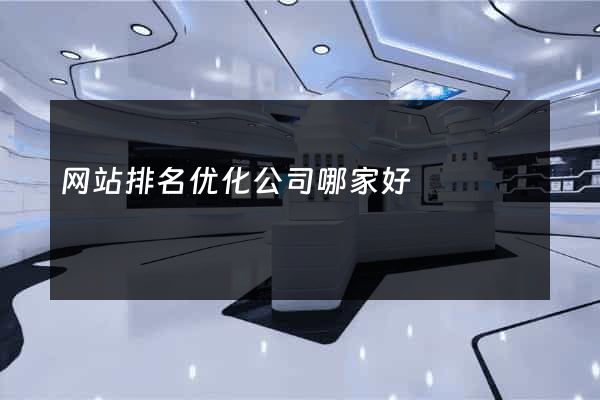 网站排名优化公司哪家好