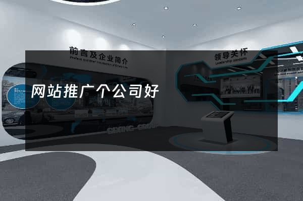 网站推广个公司好