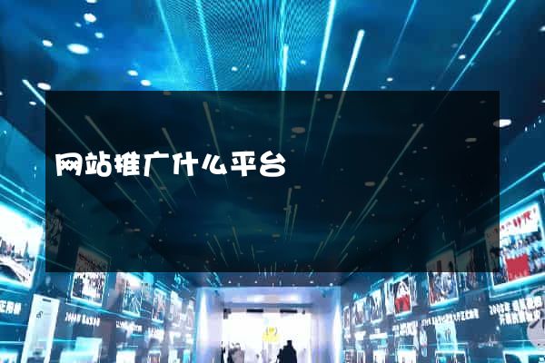网站推广什么平台