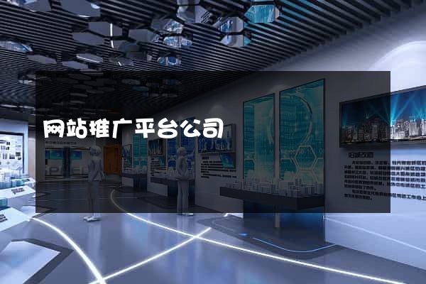 网站推广平台公司