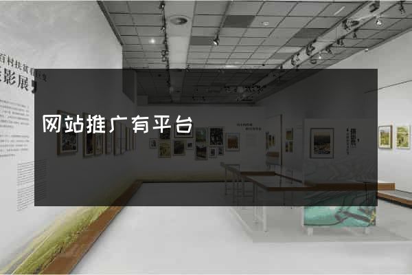 网站推广有平台