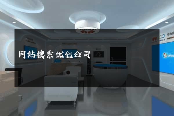 网站搜索优化公司