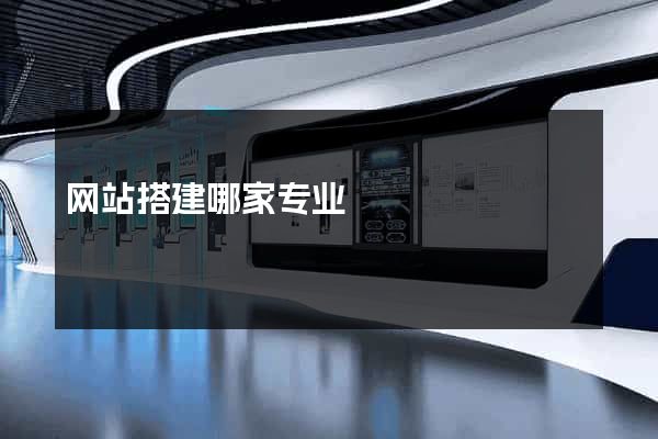 网站搭建哪家专业
