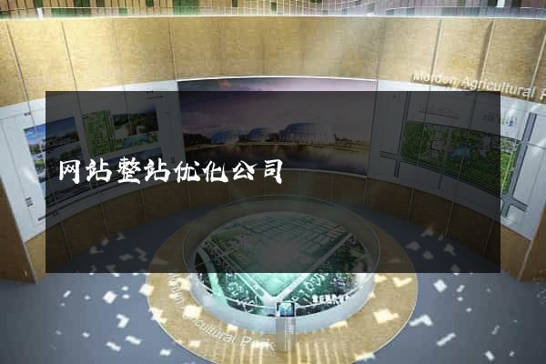 网站整站优化公司