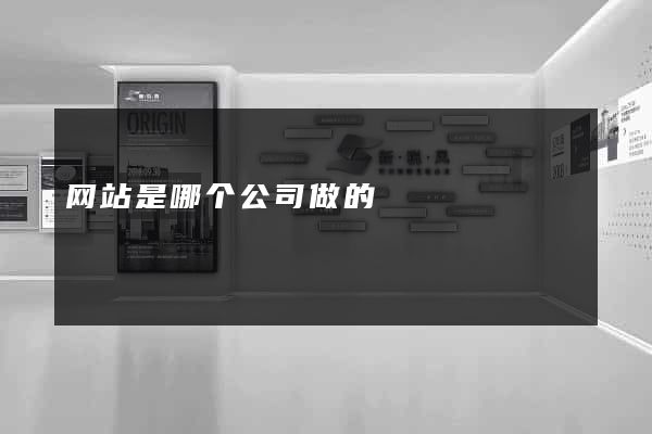 网站是哪个公司做的