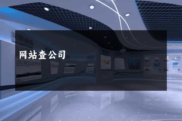 网站查公司