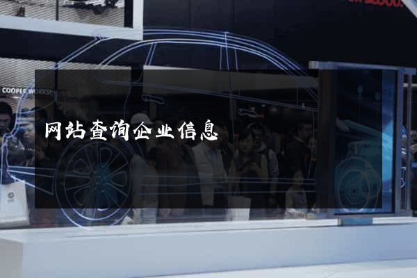 网站查询企业信息