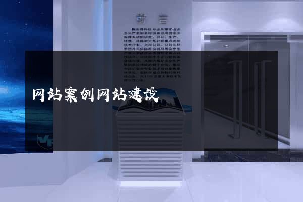 网站案例网站建设