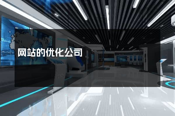 网站的优化公司