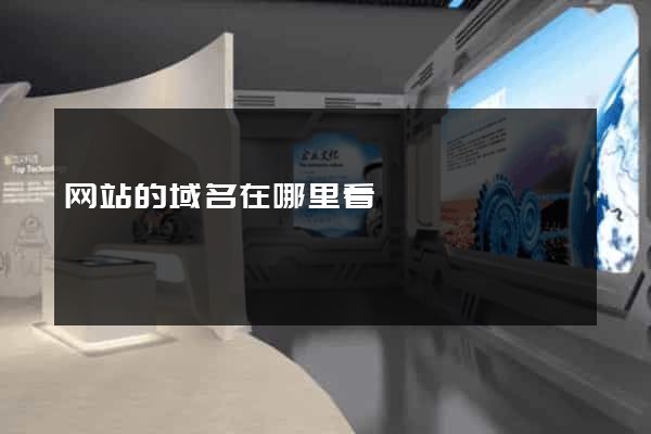 网站的域名在哪里看