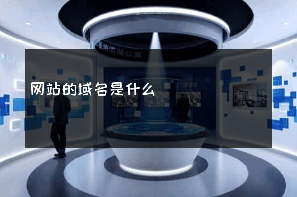 网站的域名是什么
