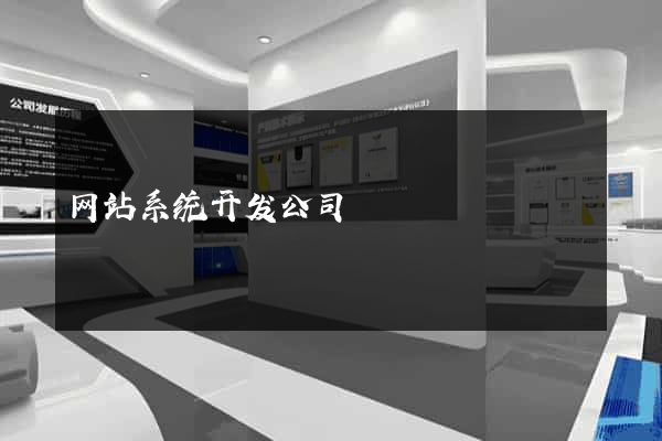 网站系统开发公司