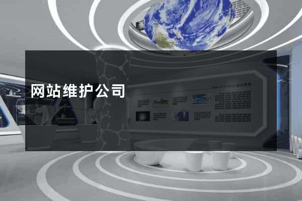 网站维护公司