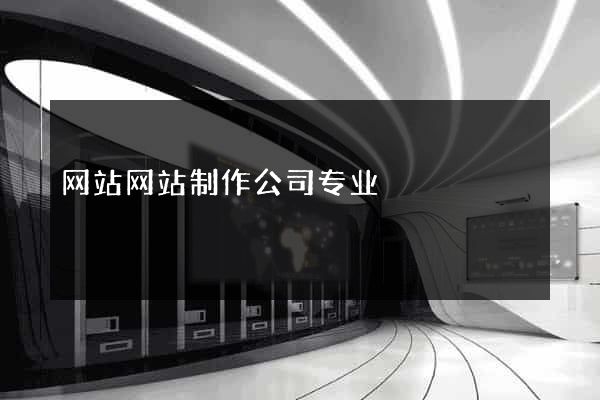 网站网站制作公司专业