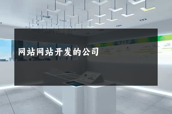 网站网站开发的公司