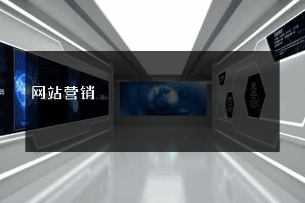 网站营销