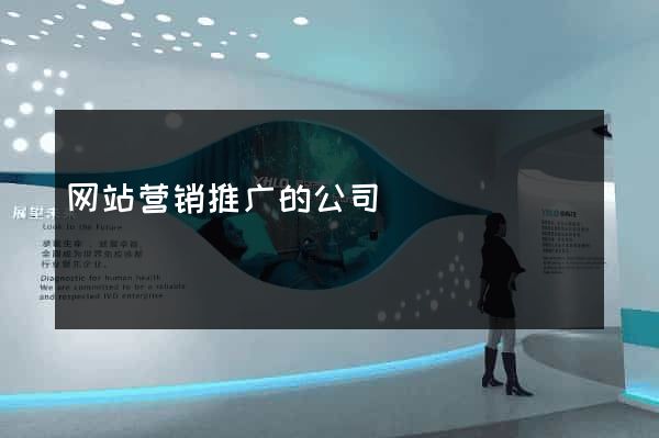 网站营销推广的公司