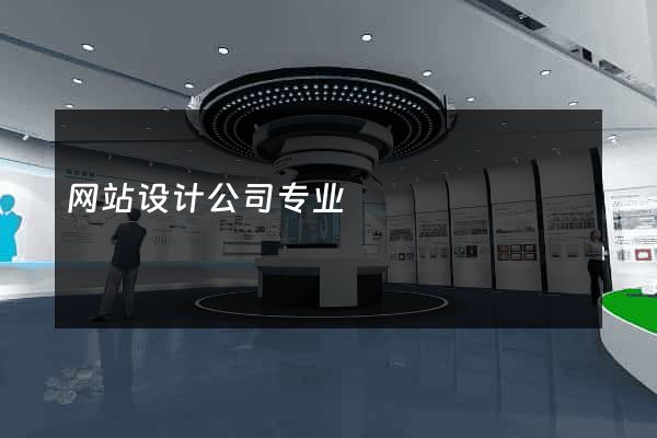 网站设计公司专业