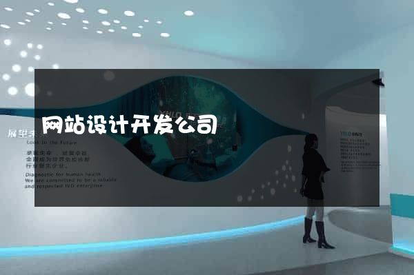 网站设计开发公司