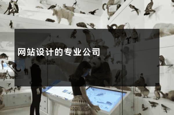 网站设计的专业公司