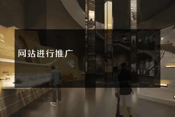 网站进行推广