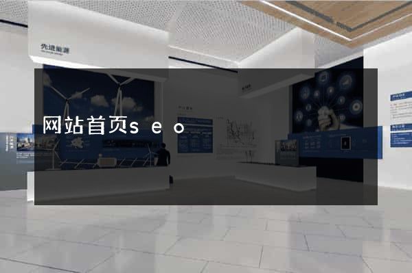 网站首页seo