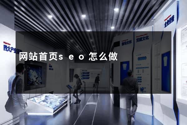 网站首页seo怎么做