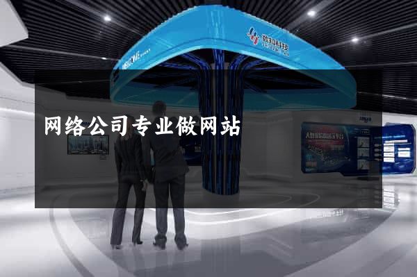 网络公司专业做网站