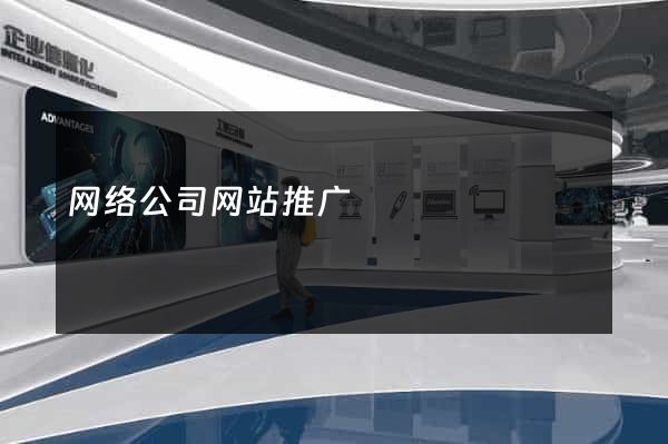 网络公司网站推广