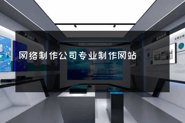 网络制作公司专业制作网站
