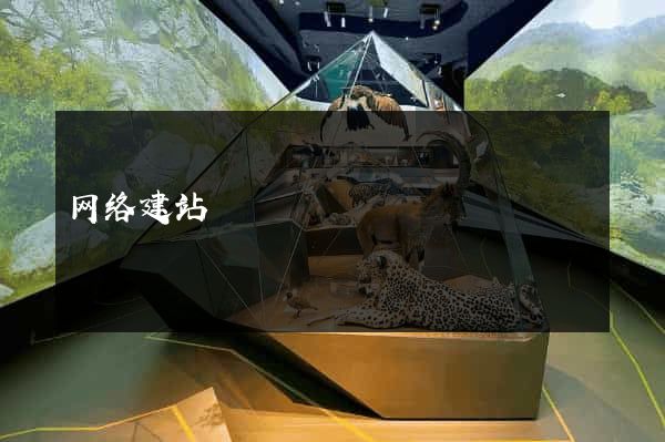 网络建站