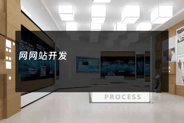 网网站开发
