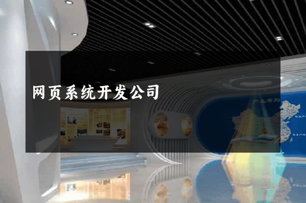 网页系统开发公司