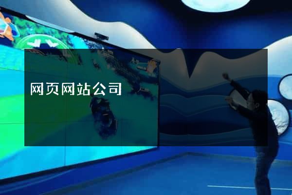 网页网站公司