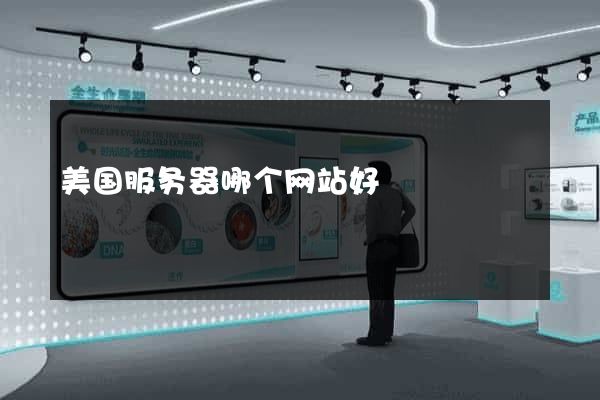 美国服务器哪个网站好