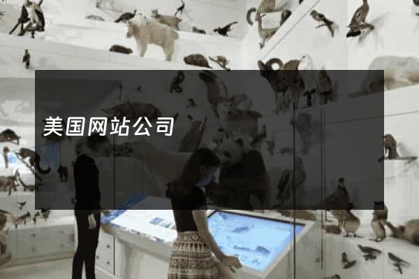 美国网站公司