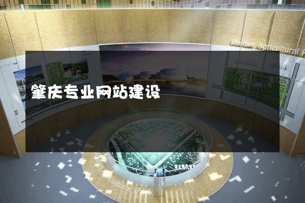 肇庆专业网站建设