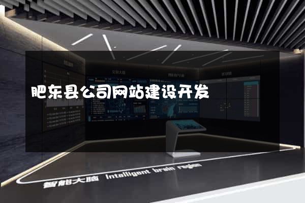 肥东县公司网站建设开发