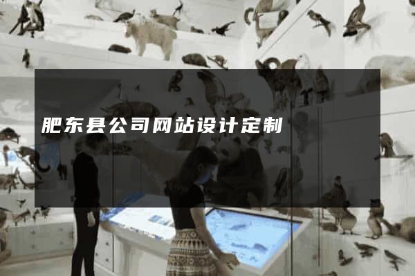 肥东县公司网站设计定制